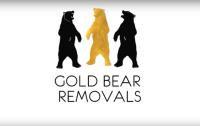 Gold Bear Removals Brighton image 3